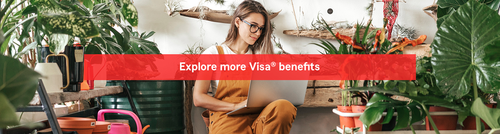 Visa Benefits